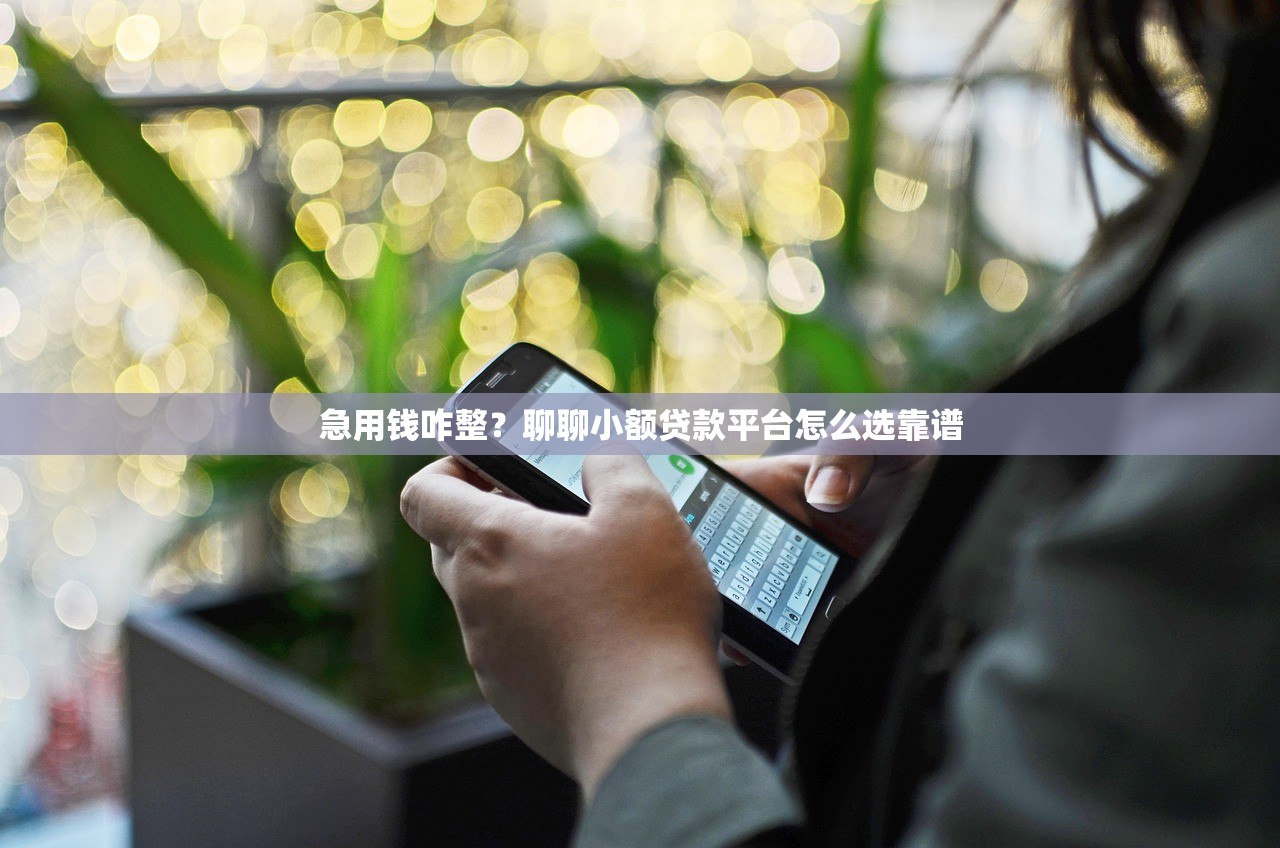 急用钱咋整?聊聊小额贷款平台怎么选靠谱 急用钱咋整?聊聊小额贷款平台怎么选靠谱