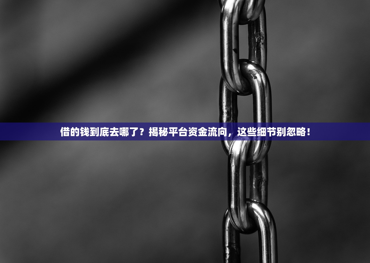 借的钱到底去哪了?揭秘平台资金流向,这些细节别忽略! 借的钱到底去哪了?揭秘平台资金流向,这些细节别忽略!