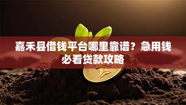 嘉禾县借钱平台哪里靠谱?急用钱必看贷款攻略 嘉禾县借钱平台哪里靠谱?急用钱必看贷款攻略