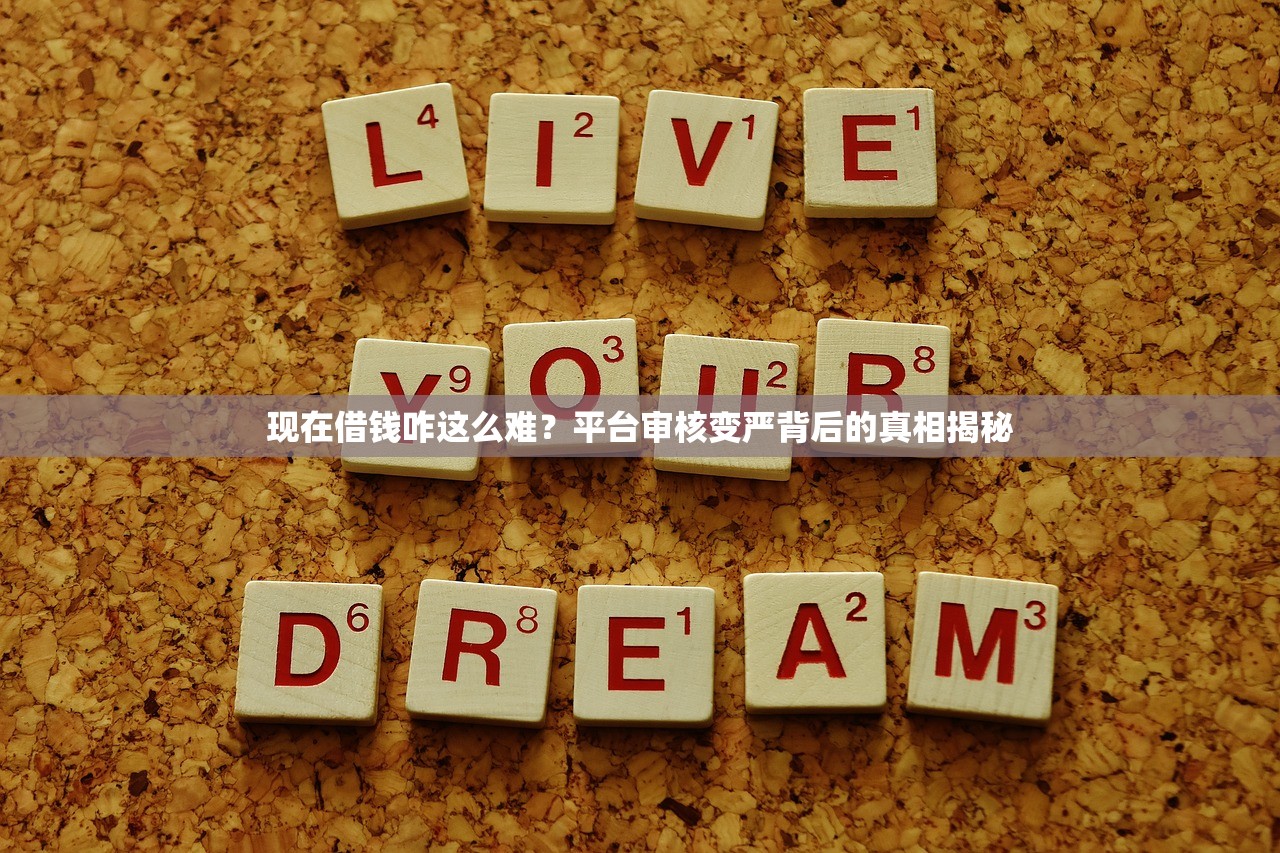 现在借钱咋这么难？平台审核变严背后的真相揭秘