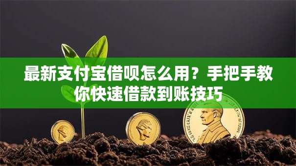 最新支付宝借呗怎么用？手把手教你快速借款到账技巧