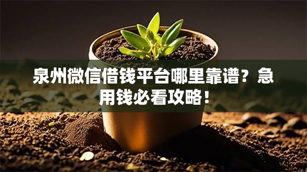 泉州微信借钱平台哪里靠谱？急用钱必看攻略！