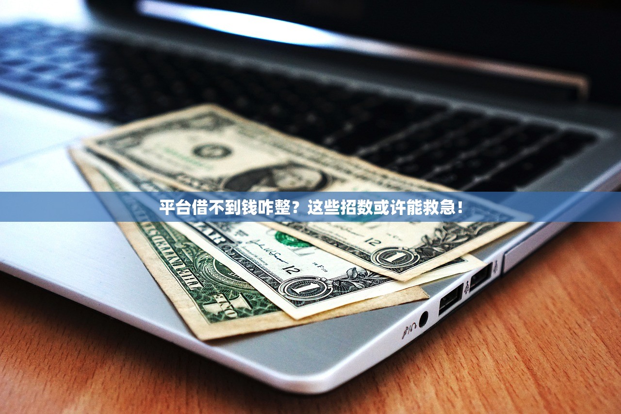平台借不到钱咋整?这些招数或许能救急! 平台借不到钱咋整?这些招数或许能救急!