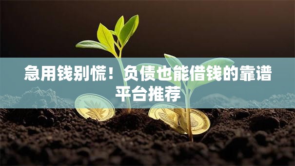 急用钱别慌!负债也能借钱的靠谱平台推荐 急用钱别慌!负债也能借钱的靠谱平台推荐