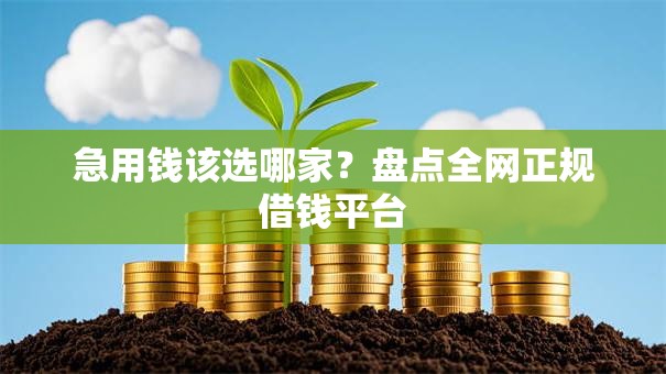 急用钱该选哪家？盘点全网正规借钱平台