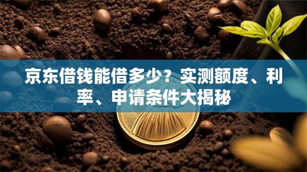 京东借钱能借多少？实测额度、利率、申请条件大揭秘