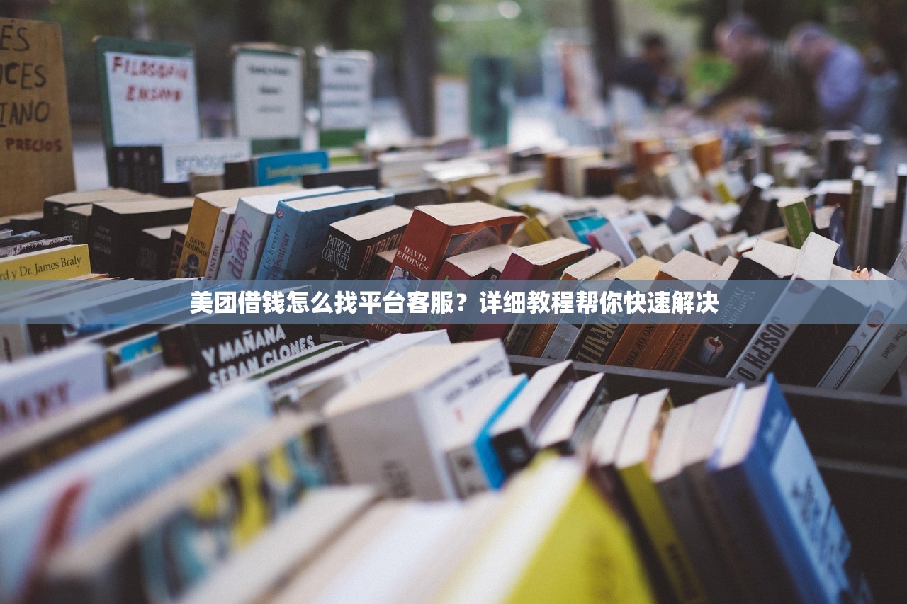 美团借钱怎么找平台客服？详细教程帮你快速解决