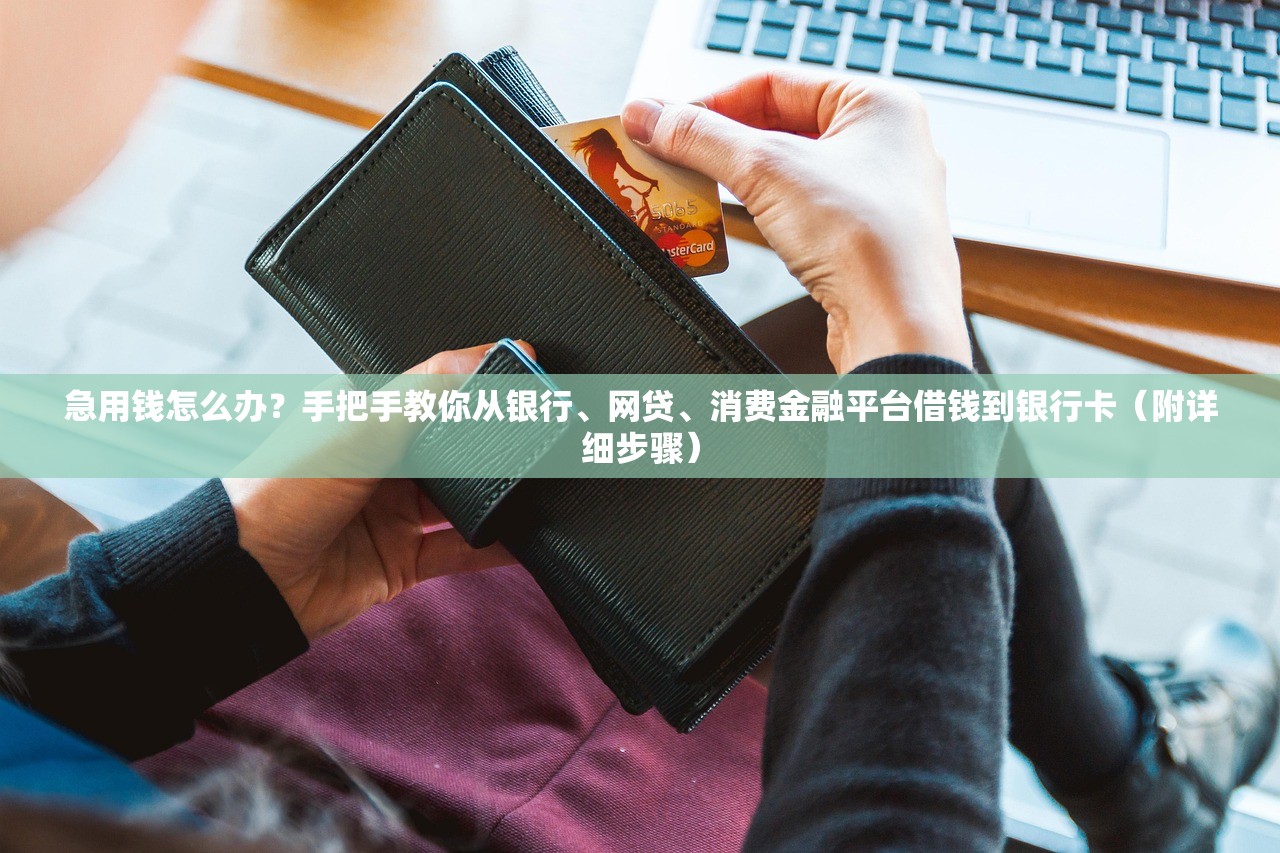 急用钱怎么办?手把手教你从银行、网贷、消费金融平台借钱到银行卡(附详细步骤) 急用钱怎么办?手把手教你从银行、网贷、消费金融平台借钱到银行卡(附详细步骤)