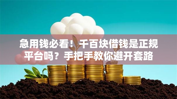 急用钱必看!千百块借钱是正规平台吗?手把手教你避开套路 急用钱必看!千百块借钱是正规平台吗?手把手教你避开套路