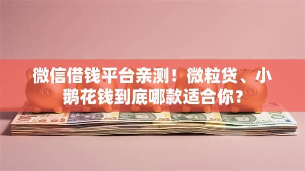 微信借钱平台亲测!微粒贷、小鹅花钱到底哪款适合你? 微信借钱平台亲测!微粒贷、小鹅花钱到底哪款适合你?