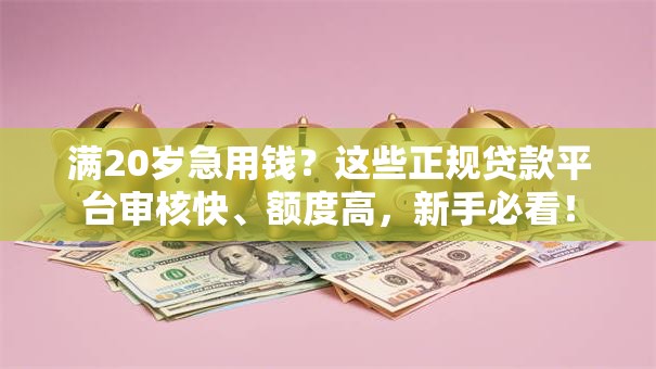 满20岁急用钱?这些正规贷款平台审核快、额度高,新手必看! 满20岁急用钱?这些正规贷款平台审核快、额度高,新手必看!