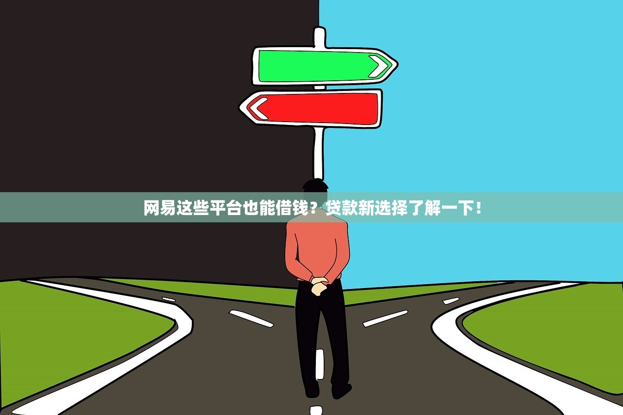 网易这些平台也能借钱？贷款新选择了解一下！