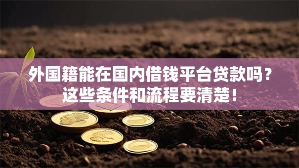 外国籍能在国内借钱平台贷款吗?这些条件和流程要清楚! 外国籍能在国内借钱平台贷款吗?这些条件和流程要清楚!