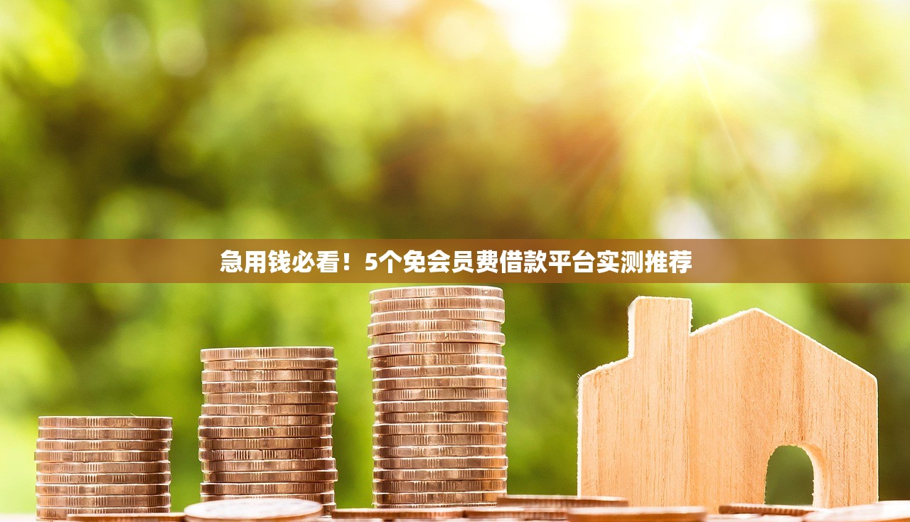 急用钱必看！5个免会员费借款平台实测推荐