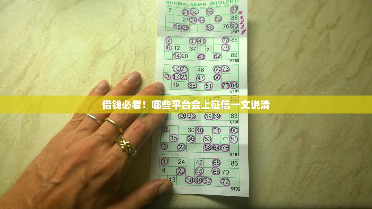 借钱必看!哪些平台会上征信一文说清 借钱必看!哪些平台会上征信一文说清