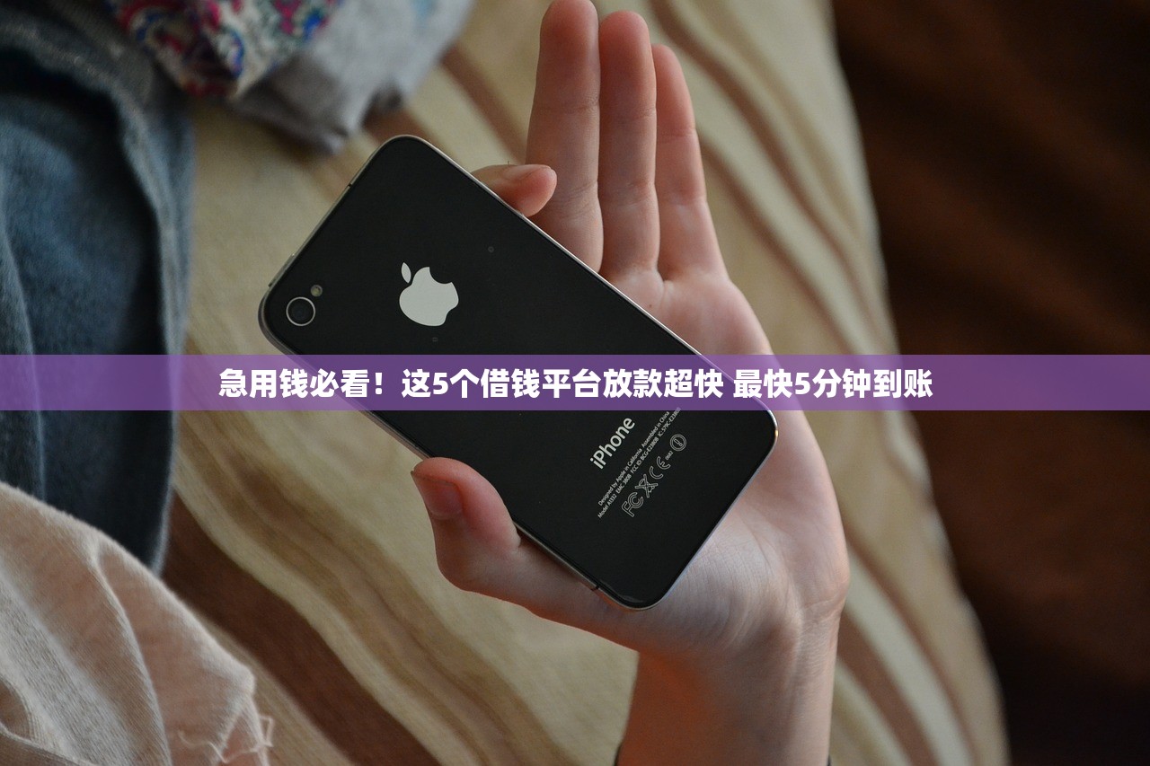 急用钱必看！这5个借钱平台放款超快 最快5分钟到账