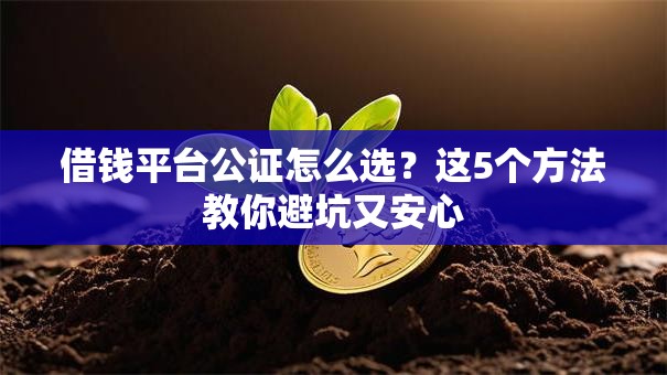 借钱平台公证怎么选？这5个方法教你避坑又安心