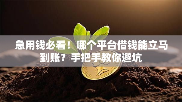急用钱必看！哪个平台借钱能立马到账？手把手教你避坑