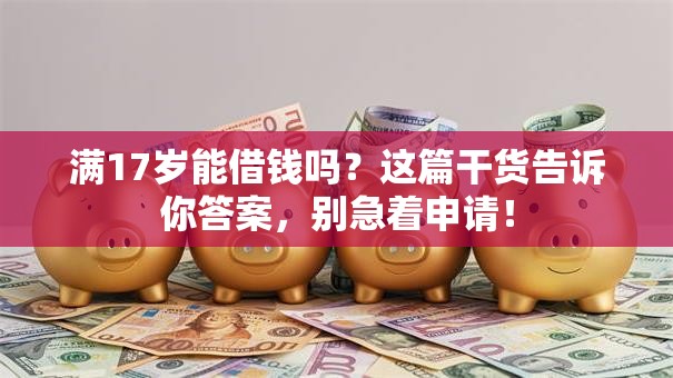 满17岁能借钱吗?这篇干货告诉你答案,别急着申请! 满17岁能借钱吗?这篇干货告诉你答案,别急着申请!