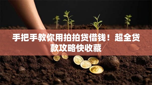 手把手教你用拍拍贷借钱！超全贷款攻略快收藏