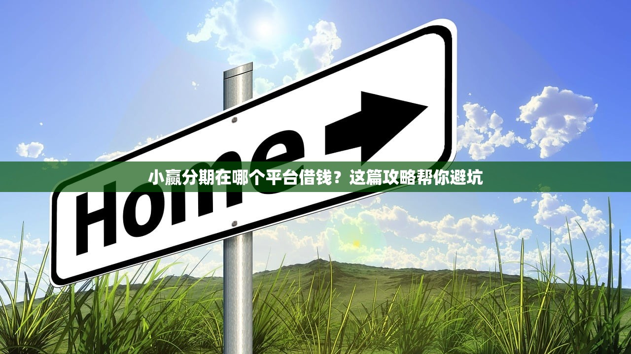 小赢分期在哪个平台借钱？这篇攻略帮你避坑