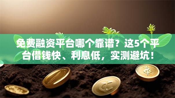 免费融资平台哪个靠谱？这5个平台借钱快、利息低，实测避坑！