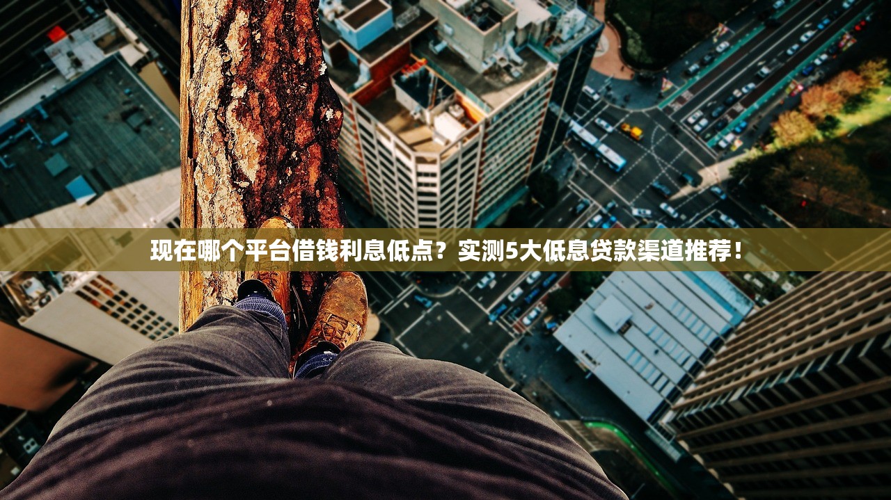 现在哪个平台借钱利息低点？实测5大低息贷款渠道推荐！