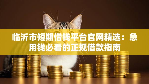 临沂市短期借钱平台官网精选:急用钱必看的正规借款指南 临沂市短期借钱平台官网精选:急用钱必看的正规借款指南