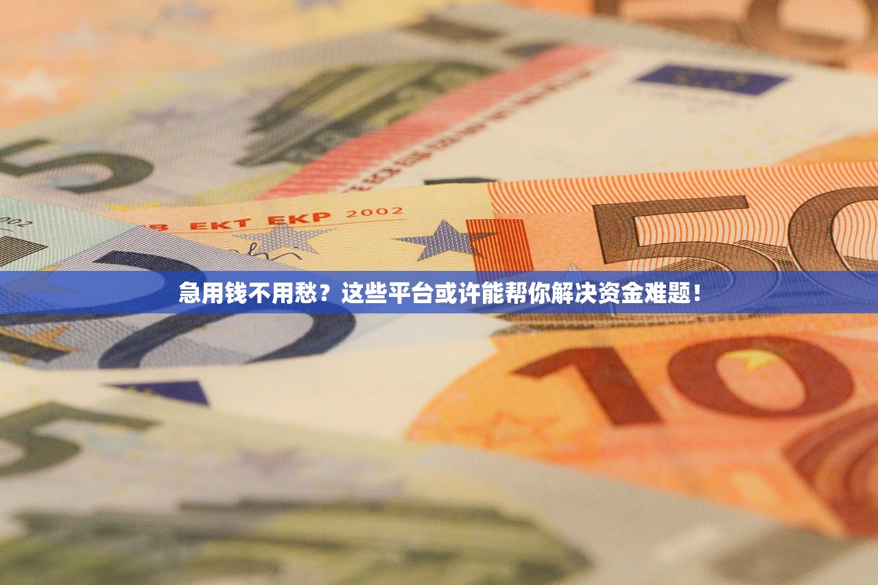 急用钱不用愁？这些平台或许能帮你解决资金难题！