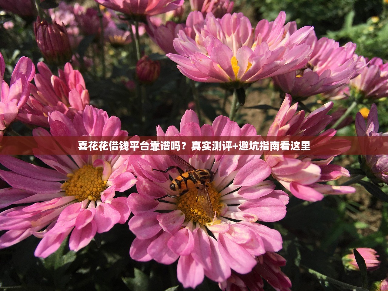 喜花花借钱平台靠谱吗?真实测评+避坑指南看这里 喜花花借钱平台靠谱吗?真实测评+避坑指南看这里