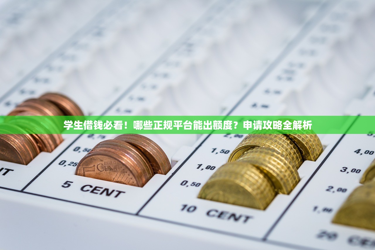 学生借钱必看！哪些正规平台能出额度？申请攻略全解析