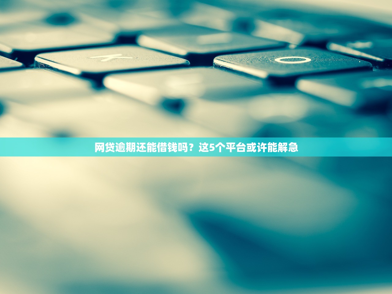 网贷逾期还能借钱吗？这5个平台或许能解急