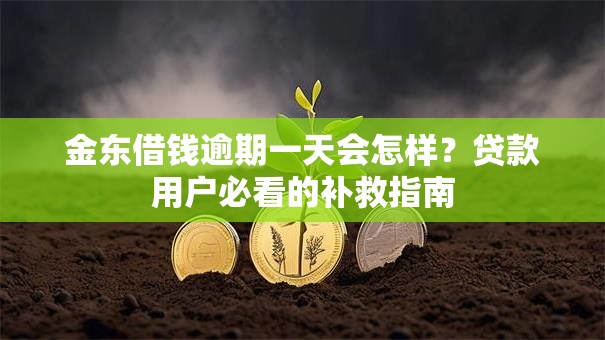 金东借钱逾期一天会怎样？贷款用户必看的补救指南