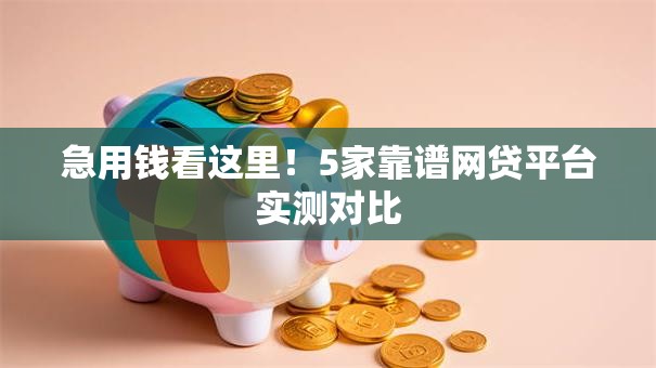 急用钱看这里!5家靠谱网贷平台实测对比 急用钱看这里!5家靠谱网贷平台实测对比