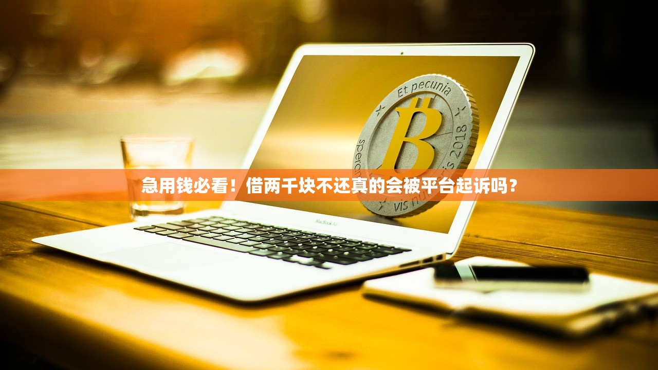 急用钱必看！借两千块不还真的会被平台起诉吗？