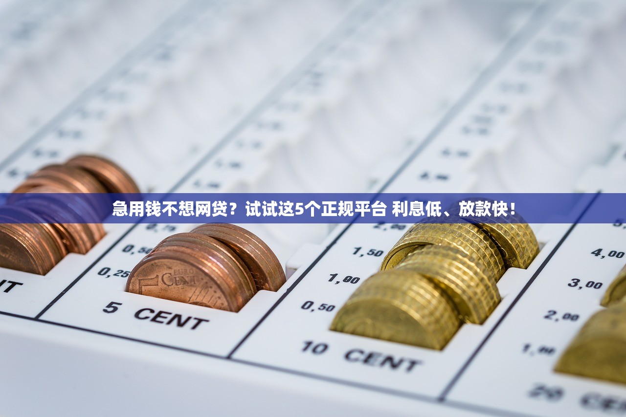 急用钱不想网贷?试试这5个正规平台 利息低、放款快! 急用钱不想网贷?试试这5个正规平台 利息低、放款快!