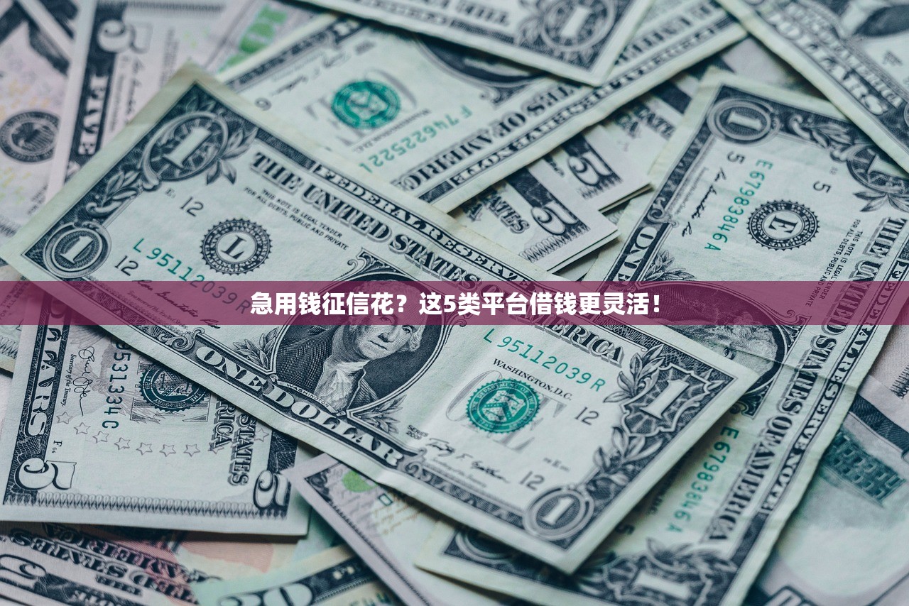 急用钱征信花？这5类平台借钱更灵活！