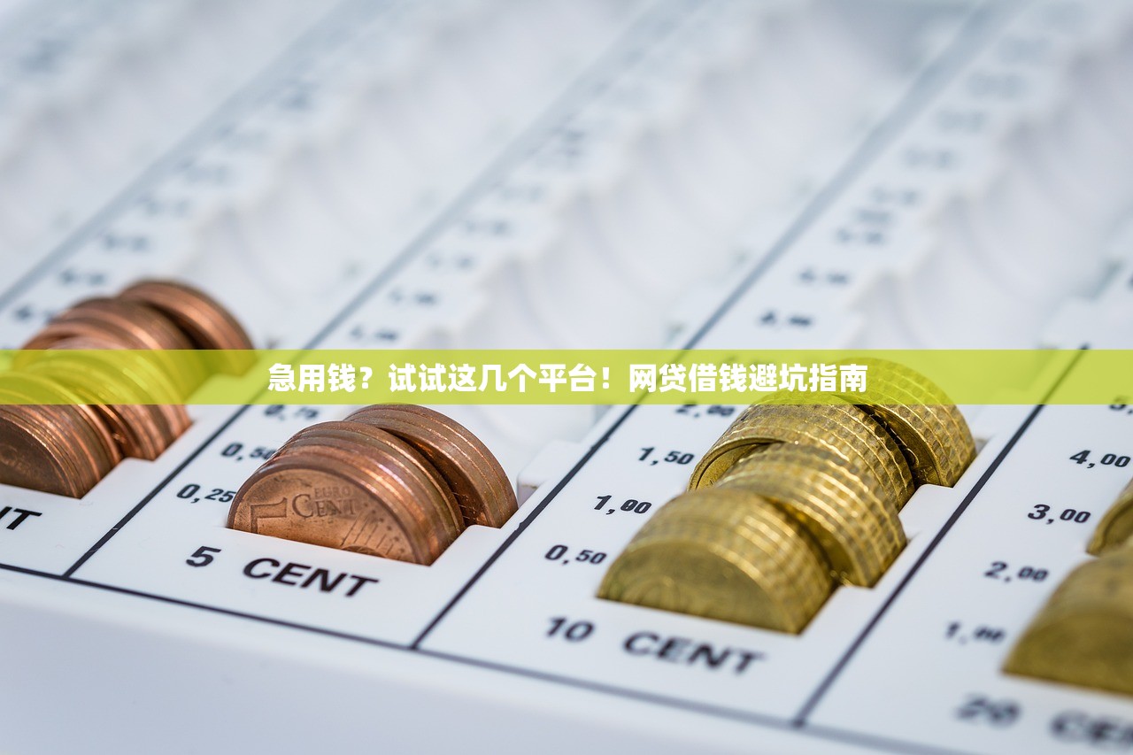 急用钱？试试这几个平台！网贷借钱避坑指南