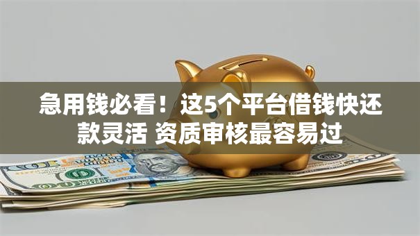 急用钱必看！这5个平台借钱快还款灵活 资质审核最容易过
