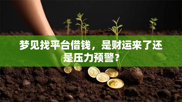 梦见找平台借钱，是财运来了还是压力预警？