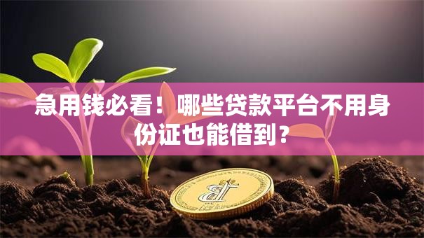 急用钱必看!哪些贷款平台不用身份证也能借到? 急用钱必看!哪些贷款平台不用身份证也能借到?