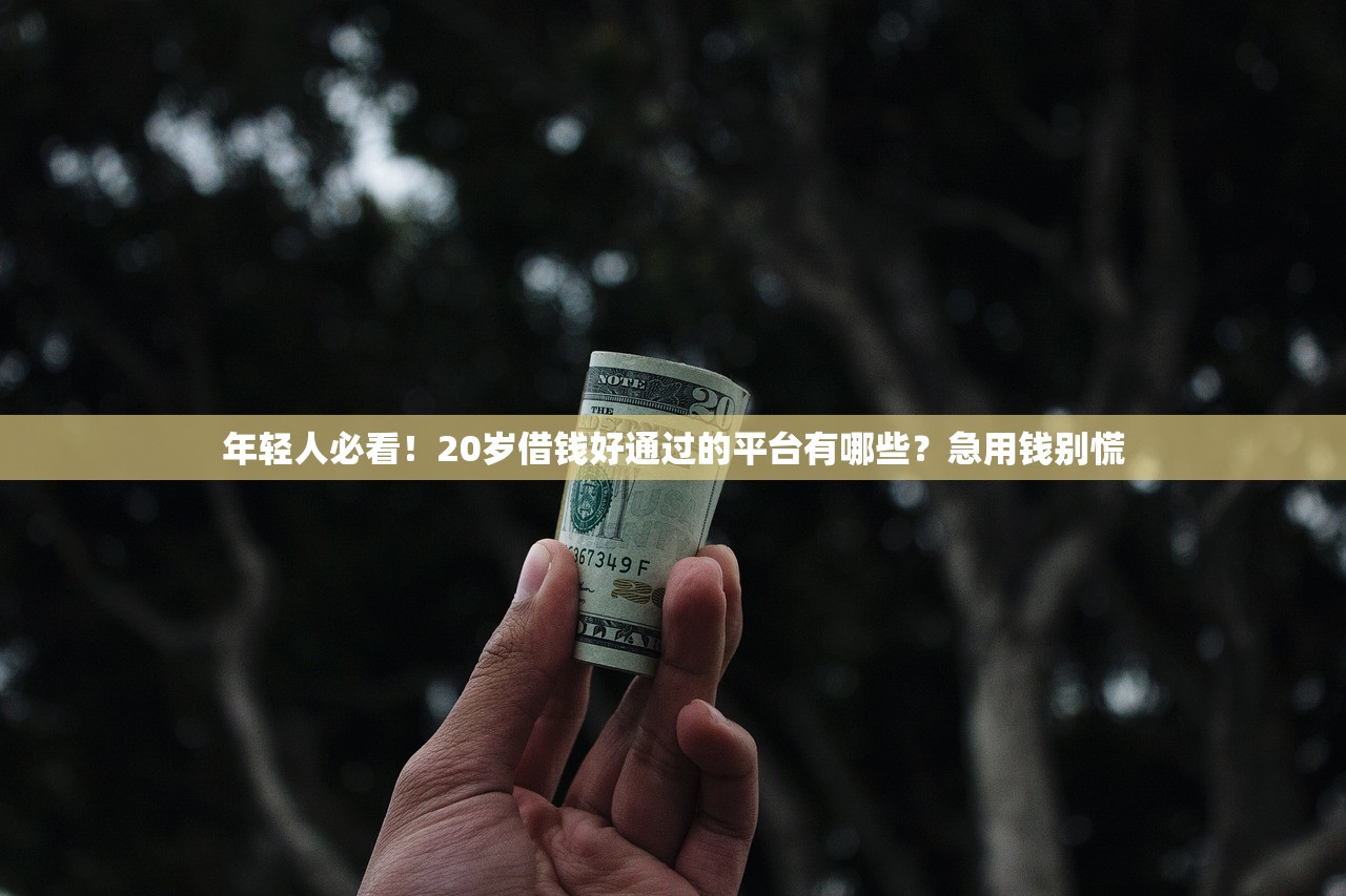 年轻人必看!20岁借钱好通过的平台有哪些?急用钱别慌 年轻人必看!20岁借钱好通过的平台有哪些?急用钱别慌
