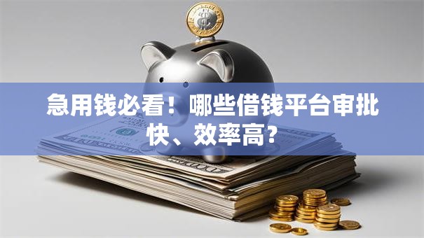 急用钱必看！哪些借钱平台审批快、效率高？