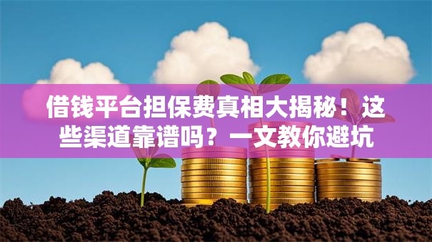 借钱平台担保费真相大揭秘！这些渠道靠谱吗？一文教你避坑