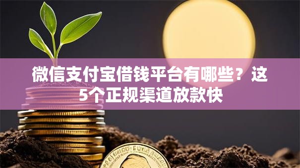 微信支付宝借钱平台有哪些？这5个正规渠道放款快