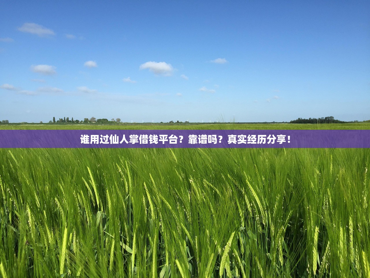 谁用过仙人掌借钱平台？靠谱吗？真实经历分享！