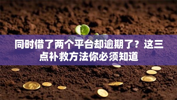 同时借了两个平台却逾期了？这三点补救方法你必须知道