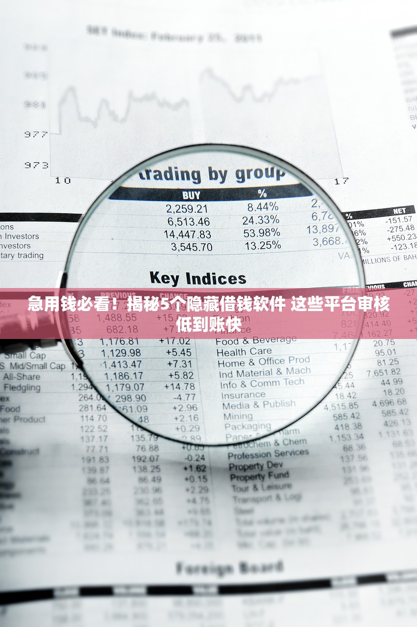 急用钱必看!揭秘5个隐藏借钱软件 这些平台审核低到账快 急用钱必看!揭秘5个隐藏借钱软件 这些平台审核低到账快