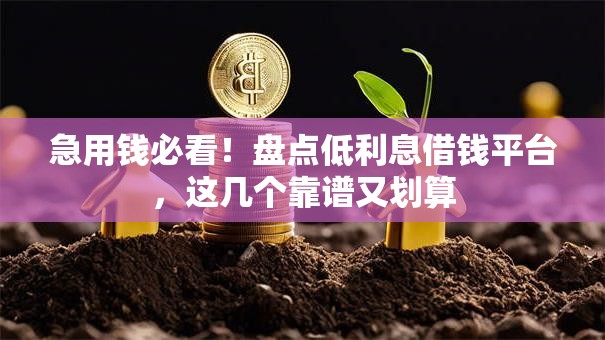 急用钱必看!盘点低利息借钱平台,这几个靠谱又划算 急用钱必看!盘点低利息借钱平台,这几个靠谱又划算