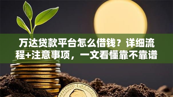 万达贷款平台怎么借钱？详细流程+注意事项，一文看懂靠不靠谱！